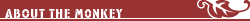 About The Monkey
